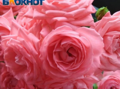 Таганрог: прогноз погоды на рабочую неделю с 18 по 22 сентября 