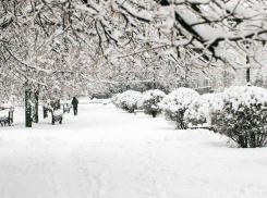 Погода в Таганроге: на предстоящей пятидневке будет и дождь,  и снег