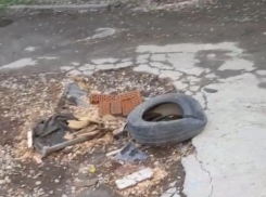 «Как тут колясочникам ездить»: убитая дорога на Театральной возмутила таганрожцев
