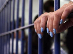 Гендиректор компании «Гамма-Лес Юг» проведет год за решеткой 