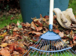 Субботник нового формата пройдет в Таганроге