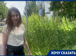 Трава выше головы встречает гостей Чеховского фестиваля в Таганроге