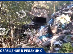 Кто уберет ливневку в Таганроге - туда давно не ступала нога уборщика мусора