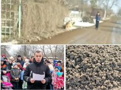 Какой итог принесло обращение таганрожцев к президенту РФ