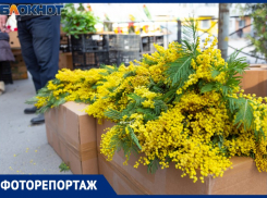 «Все цветы, что только есть…», - цветочный бум в Таганроге