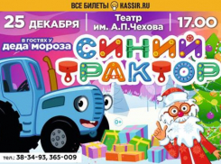 Волшебные и яркие новогодние представления для детей