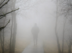 Тепло и туманно: что ещё ожидать таганрожцам от зимней погоды и когда похолодает - прогноз на неделю