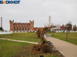 Таганрожцам не стоит ждать солнце на этих выходных