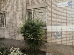 Рекламу наркотических средств в Таганроге закрасили