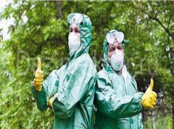 Качество обработки от клещей в Таганроге вызывает сомнения