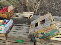 За три месяца муниципальная инспекция на 4.8 млн рублей выписала штрафов в Таганроге