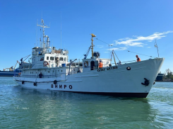 В Азовском море пересчитают всю рыбу и оценят промысловые виды 