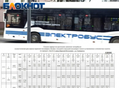 «Оно липовое!» - таганрожцы отзываются о новом расписании электробусов