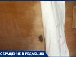 В таганрогском детском саду каждое утро начинается со встречи с тараканами