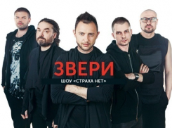 Таганрогская группа «Звери» едет в Киев