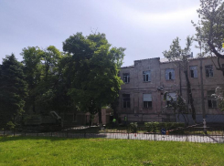 Таганрожца смутило кронирование «под ноль»