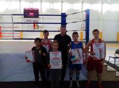 Золотые и серебряные медали привезли таганрогские боксеры