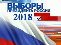 В ЦИК назвали траты Путина на предвыборную компанию