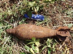 В огороде под Таганрогом нашли минометную мину времен Великой Отечественной войны