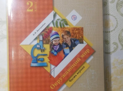 «Устал -положи ватные диски, смоченные чаем,  на глаза», - таганроженку насмешил учебник