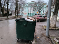 Осторожно на дорогах Таганрога: мусорные баки!