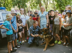 В Ростовской области за лето провели более 1000 профилактических работ по безопасности детей