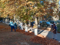 Камбулова подмела Таганрог и пристыдила коммерсантов за его захламление