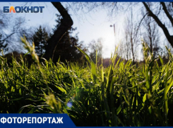 Цвета весны: Таганрог в объективе фотоаппарата