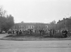 «Благоустройство» или уничтожение? Таганрожцы сомневаются в результатах голосования по скверам