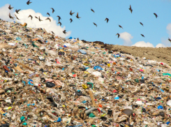 Чемпионом области по свалкам стал Таганрог