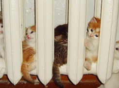 Отопление в Таганроге отключили, но платить всё равно придётся 