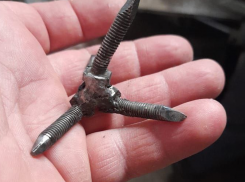 «Недвиговский вредитель» задержан в окрестностях Таганрога