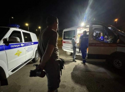 Таганрожец хотел сфотографировать мост, а спас ребенка, тонущего в Волге