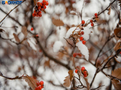 Новый год Таганрог: Народные приметы на 1 января 2021 года