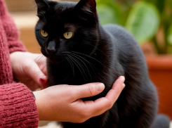 23 августа: народные советы для таганрожцев на Лаврентьев день