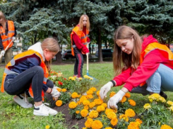 Более 11 тысяч подростков нашли временную работу в Ростовской области