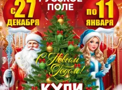 Рецепт ярких новогодних каникул