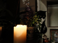 Таганрог снова может столкнуться с веерными отключениями электричества