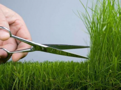 13 актов о нарушении содержания придомовых территорий Управляющими Компаниями переданы в прокуратуру