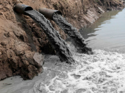 Таганрожцам и гостям города не рекомендует заходить в воды акватории залива и ловить рыбу