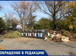 «Уже месяц лежит мусор»: прогулка по Таганрогу