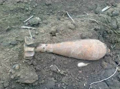 В селе Синявское оцепили приусадебный участок