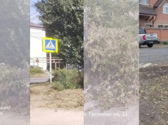 Минус 70 помоек: таганрогские коммунальщики вывезли более 1200 м³ мусора