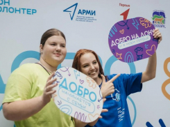 Активные волонтеры Ростовской области смогут получить государственную награду