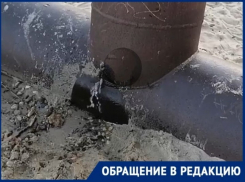 Змеи и грязные потоки из коммуникаций замечены на пляже, где власти разрешили купаться