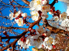 Погода на предстоящей рабочей неделе в Таганроге: дождь и  похолодание ждут горожан