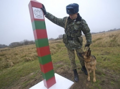 Криминальную семейную пару поймали на границе с Украиной