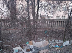 «Ещё и кучи мусора»: территория возле музыкальной школы в Таганроге снова неприятно удивила