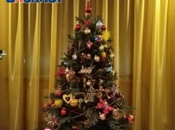 Всероссийская акция «Ёлка желаний» помогает исполнять мечты юных таганрожцев