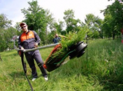 Администрация Таганрога продолжает наводить в городе порядок